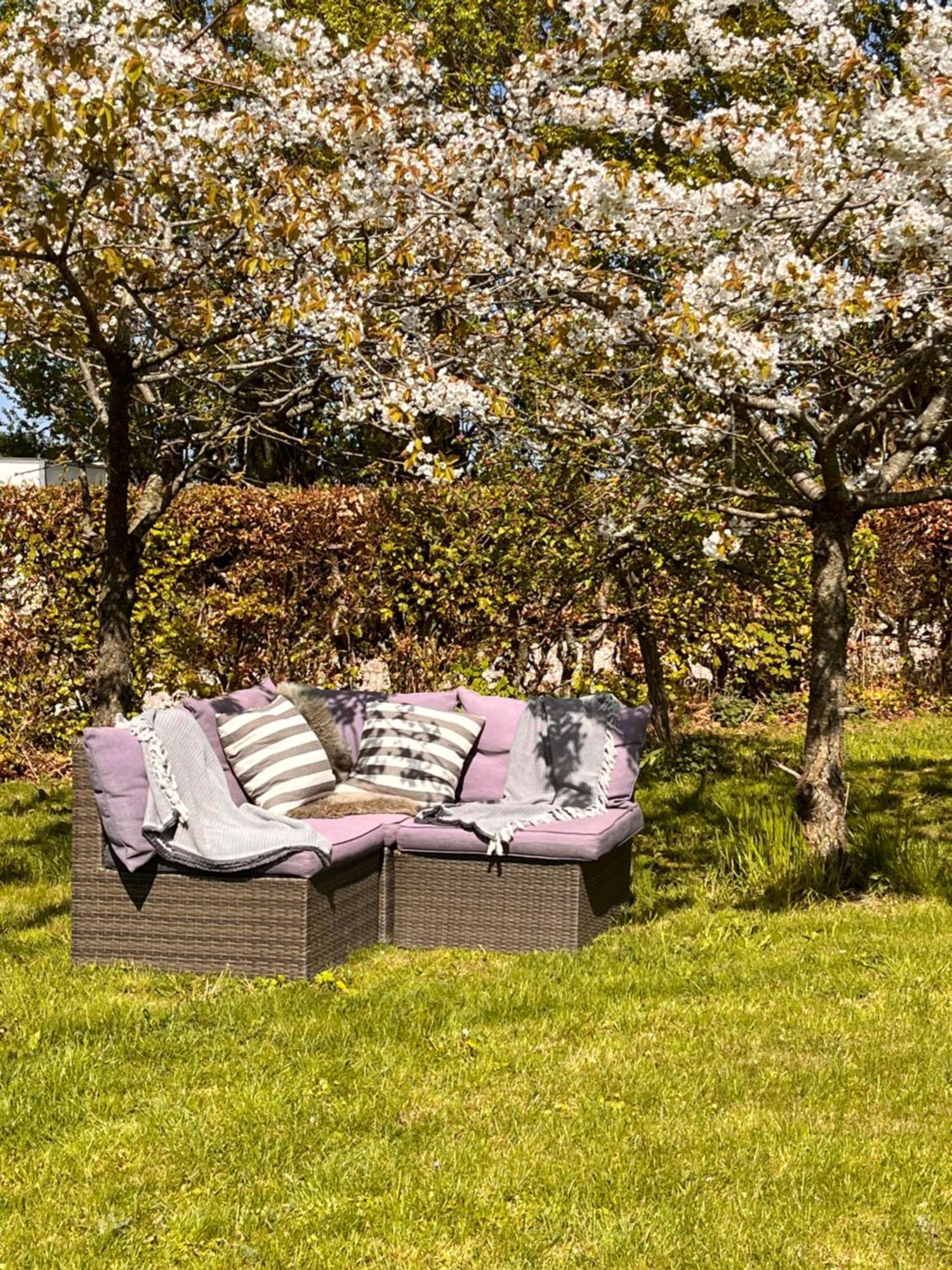 Rødvig Munkgaard Inn & Outdoor المظهر الخارجي الصورة